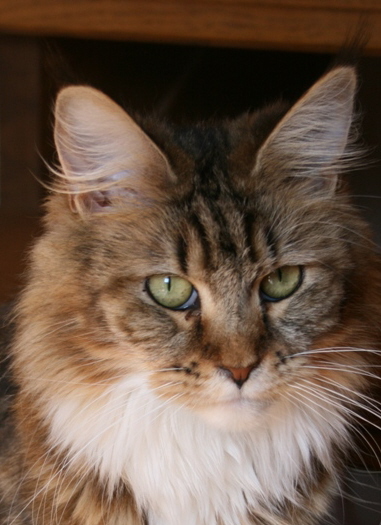 Whitney 1,5 Jahre