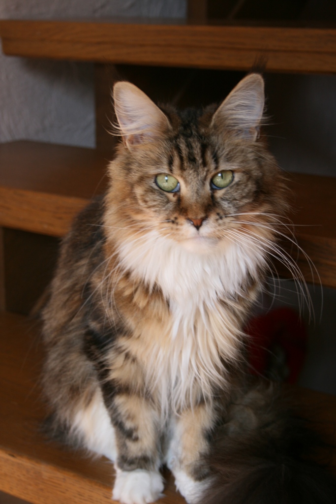Whitney 1,5 Jahre2