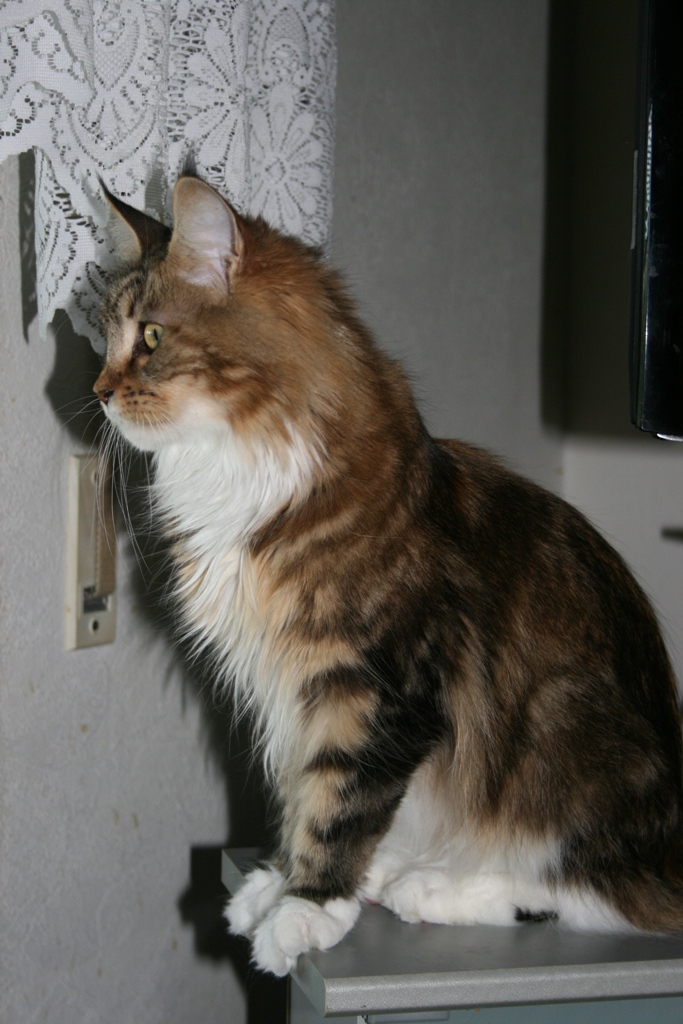 Whitney 1,5 Jahre4